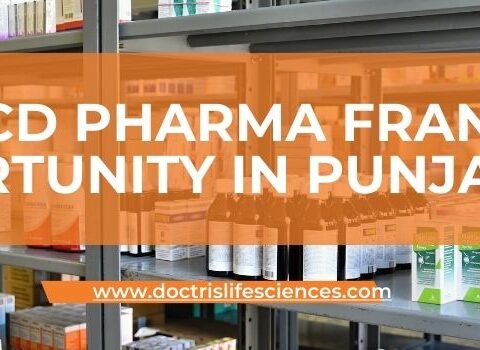 Top PCD Pharma Franchise Opportunity in Punjab