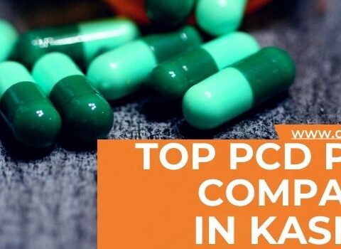 Top PCD Pharma Companies in Kashmir